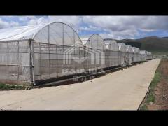 Tunnel Greenhouse