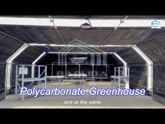 multi-span venlo pc sheet polycarbonate tunnel greenhouse blackout light dep