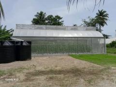 Tunnel Greenhouse