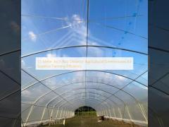 1.5 Meter Arch Rod Distance Agricultural Greenhouses for Superior Farming Efficiency
