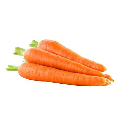 China China Export Fresh Carrots Farm Grown Delicious Fresh Vegetables Fresh Carrots for sale