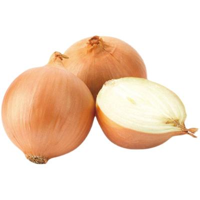 China China Wampee Onion Fresh Tested And Packed Fresh Yellow Onions for sale