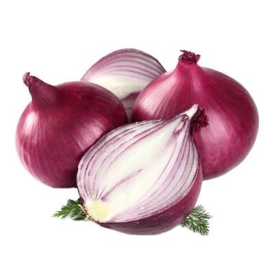 China Fresh raw spicy fresh purple shallot red onion consumption onion for sale