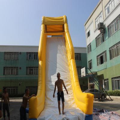 Κίνα Professional Supplier Inflatable Water Slide Inflatable PVC Tarpaulin Slide For Sale προς πώληση