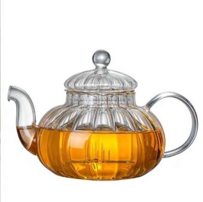 China Sustainable YOYO Popular  600 ML glass teapot with glass infuser and warmer  high borosilicate glass tea pot set for sale