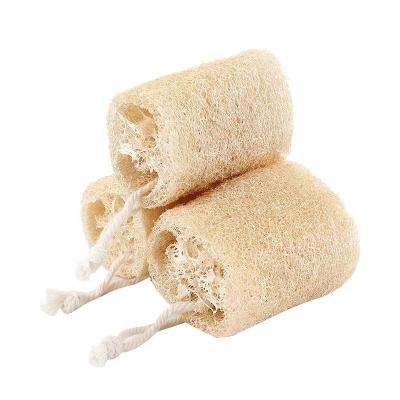 China Stocked Wholesale  eco-friendly  loofah brush kitchen loofah sponge  customized cleaning natural  towel gourd clean cloth for sale