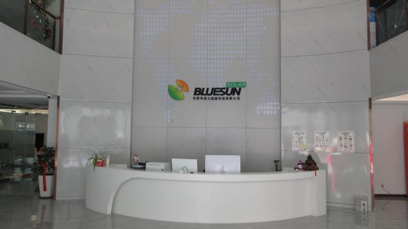 Fornitore cinese verificato - Bluesun Solar Co., Ltd.