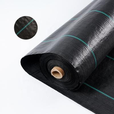 China Industrial Wholesale Cheap Polyethylene Sheet Roll Greenhouse Cover Weed Mat Landscape Fabric for sale