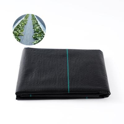 China Industrial Plastic PP Cloth Grass Cover Needle Punch Cotton Cotton Anti Weed Control Mat For Agricultural Use for sale