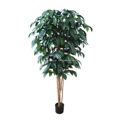 China Home/Hotel/Office/Festival/Indoor Decoration 183 cm Hot Tropical Indoor Decorative Faux Plant Sales Artificial Coffee Trees for sale