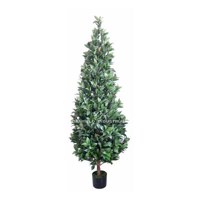 China Home/Hotel/Office/Festival/Cheap Price Indoor Decoration 183cm Office Natural Decoration Plants Artificial Laurel Leaf Trees for sale