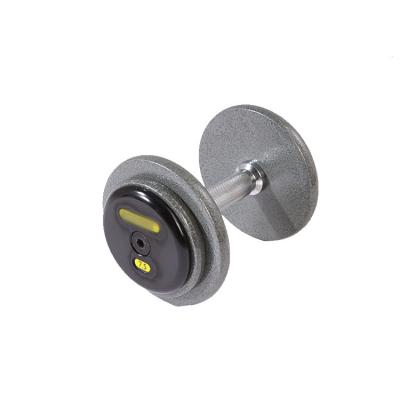 China Fitness Dumbbell Cast Iron Painting Gym Fitness Equipment Wholesale Customized Weight Electroplating Dumbbell for sale