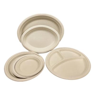 China Eco Disposable Sugar Cane Bagasse Disposable Dishes for sale