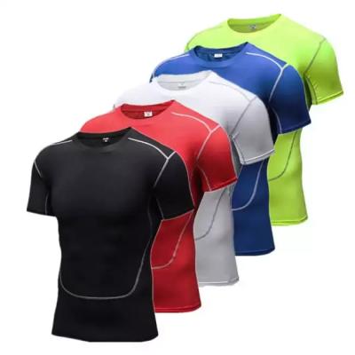 China QUICK DRY Hot Sale Fitness Sports Running Training Clothes Stretch Quick Dry Clothes Short Sleeves T-Shirts for sale