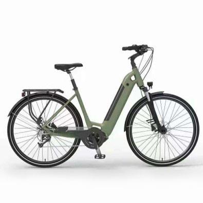 China velo electrique elektrisches Fahrrad elektrische Schmutzfahrräder 29 Zoll 1000w 750W für Kindererwachsene zu verkaufen