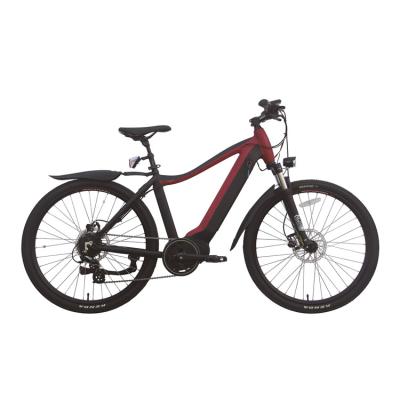 China 12 batería eléctrica portátil de la bici 48v del ejercicio de la pulgada 400 libras de capacidad los 20km H en venta