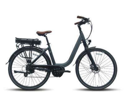 China Rad 2 28 Lithium-Batterie GPS 40km/H 50km/H des Zoll-elektrische Fahrrad-36v 10,4 ah zu verkaufen