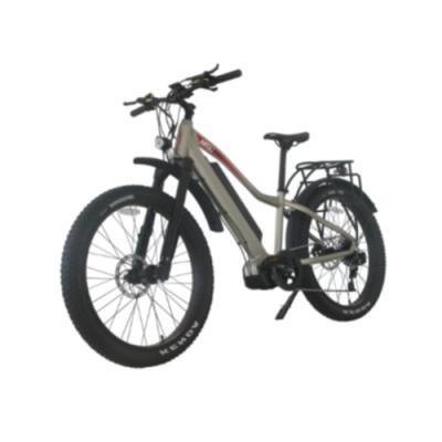 China E Fiets 26 Duim48v 1000w Elektrische Fiets de Elektrische Fiets Sterk Off Road van het 26 Duimwiel Te koop