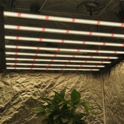 China Seed Starting Light Ever Growing Led Grow Lights Hydroponic Indoor Light Bar lm301h lm301b 600w 1000w Plant Full Spectrum Led Grow Lights for sale