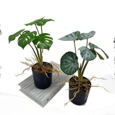 China Creative Minimalist Creative Potted Plant Simulation Green Leaves Artificial Flower Fern Plants Ornaments Decor Flower Grass for sale