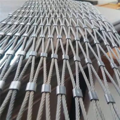 China Custom Architectural Plain/Twill/Stainless Steel Fence Wire Aviary Mesh Rope Cargo Netting Dutch Weave Manufacturer for sale