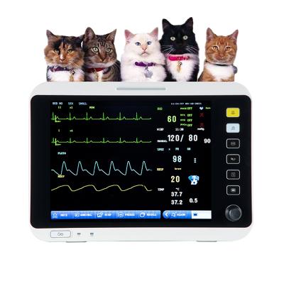 China Acrylic Veterinary Use Heart Monitor for Pet Vital Signs Monitor 12.1 Color Touch Screen Veterinary Animal for Pet Clinics and Pet Zoo for sale