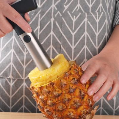 China Pineapple Hollow Punch Remover Stainless Steel Pineapple Core Remover Tool Premium Viable Hollow Puncher for sale