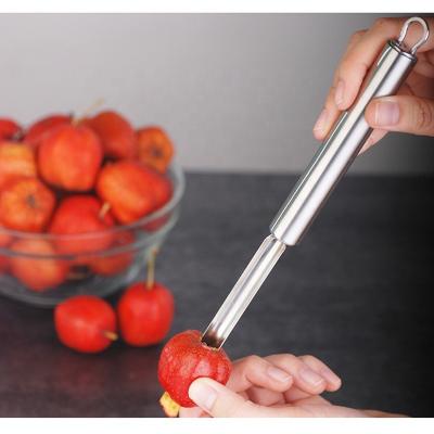 China 3pcs Viable Set Stainless Steel Fruit Hollow Puncher Pitter Hawthorn Hollow Puncher Specially For Hawthorn for sale