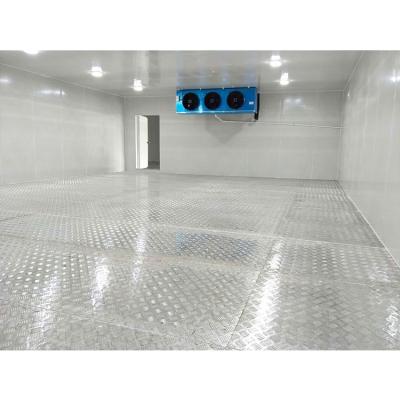 China Energy Saving CE Certificate 100 Ton Meat Fish Cold Storage Room Price for sale