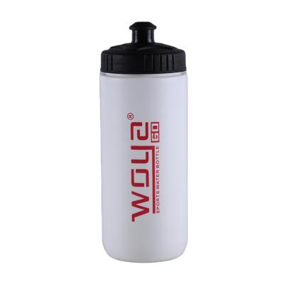 China Sustainable Safeshine 500ml High Quality Good Price Push-Pull Lid Plastic Squeeze Wide Mouth Water Bottle for sale