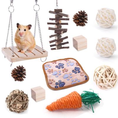 China Viable Hamster Guinea Pig Chew Toys Sets Natural Wooden Mouse Exercise Toys and Accessories Teeth Worry Molar Toys for sale