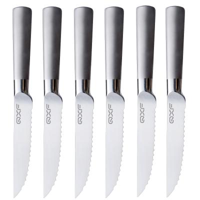 China Durable Hot Selling Professional Cavity Handle Stainless Steel Kitchen Steak Knife Set for sale