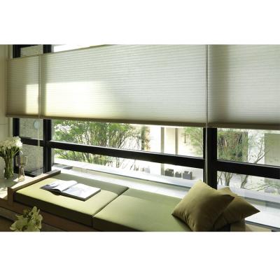 China Cheap Modern 100% Blackout Blackout Roller Blind Honeycomb Blinds Blackout Shade for sale