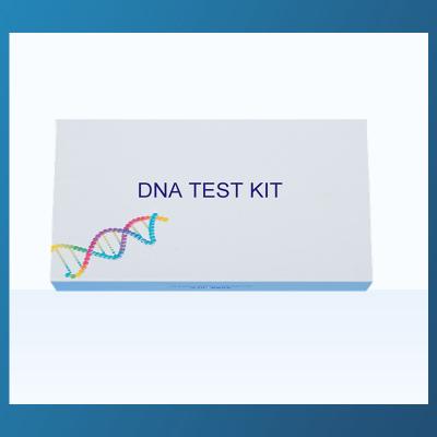 China Gene Sequencing-de Uitrusting van de Inzamelingskit parent child relationship detection van DNA Te koop