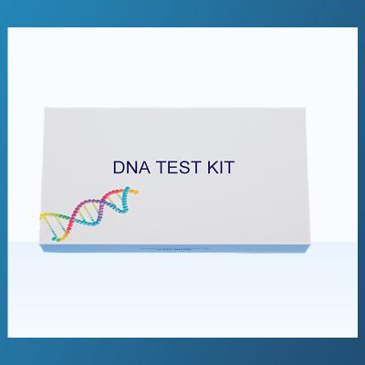 China HUACHENYANG DNA-Inzameling Kit Flocked Nylon Tip Swab Kit Paternity Test Kit Te koop