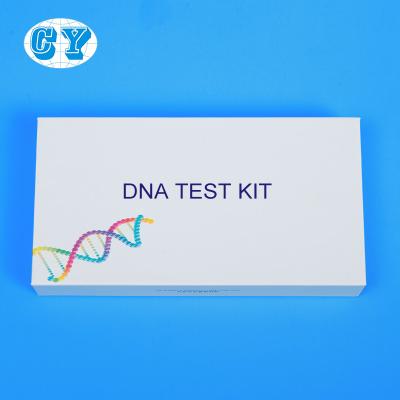 China 150mm van de de Steekproefinzameling van DNA de Test van DNA van Kit Home Parent Child Te koop