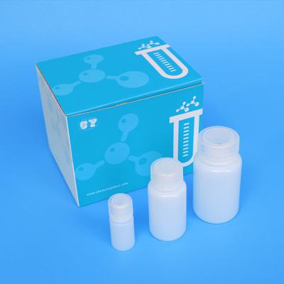 China purificação ácida nucleica viral clínica Kit Silica Based Magnetic Bead à venda