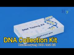 Specimen Collection DNA Collection Kit Flocking Genetic Analysis For Home