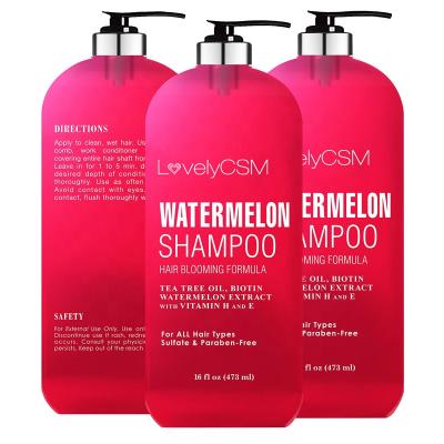 China LovelyCSM Argan Hair Loss Shampoo and Conditioner Color-Protection Red Tea Tree Oil Watermelon Tea Tree Repair Set Anti Hair Loss Mask Hair Oil Hair Loss Mask for sale