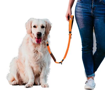 China Amazon Hot Personalized Pet Supplies Easy Wear Dog Training Rope Dog Leash for sale