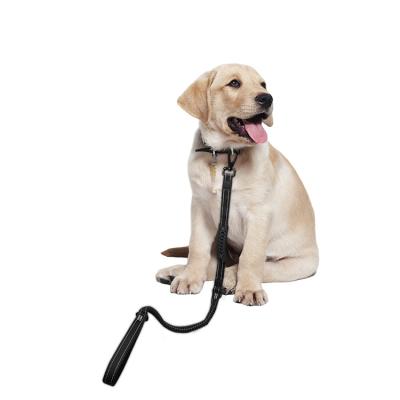 China Durable Custom Durable Dog Leash Rope Leash With Metal Accessories for sale