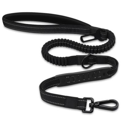 China Viable Wholesale Dog Traction Lead Belt Dog Leash Carbine Leash Nylon Rope for sale