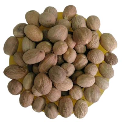 China Factory Wholesale High Quality Dried Nutmegs New Organic Harvested Nutmegs for sale