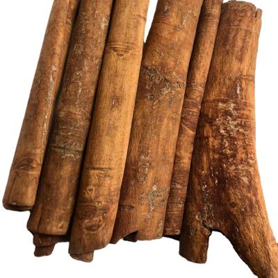 China Pure and good dry high quality cinnamon stick cinnamon cheap price product for sale