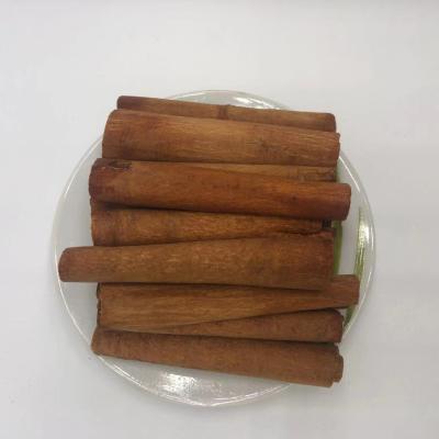 China Cassia Seed Cinnamon Rolls Cinnamon Rolls Cinnamon Sticks 100% High Quality Natural Dried Cinnamon Sticks for sale