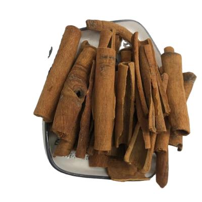 China Hot sale real cinnamon dry best real cinnamon cinnamon sticks in the world for sale