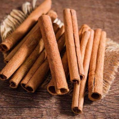 China China Dongxing Dried Cinnamon / Hot Selling Products 8~10cm for sale