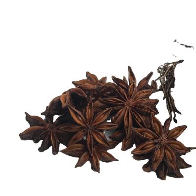 China Dry sell red star anise with best price and best quality star anise for sale