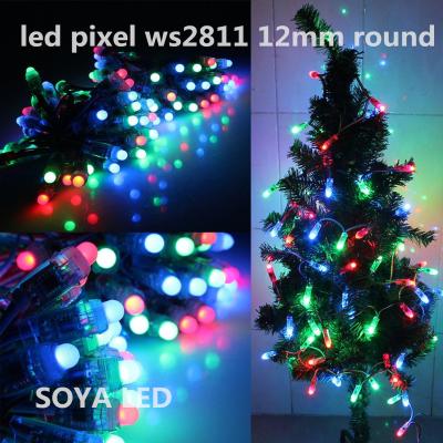 China Plastic Remote Control Led String Lights WS2811 Pixel 12mm Series For Christmas Tree Decoration for sale