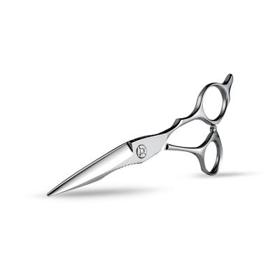 China Hair Cutting Shear Aerodynamic Design And Ergonomic Handles Hair Scissors AL20 Hair Cutting Shears for sale